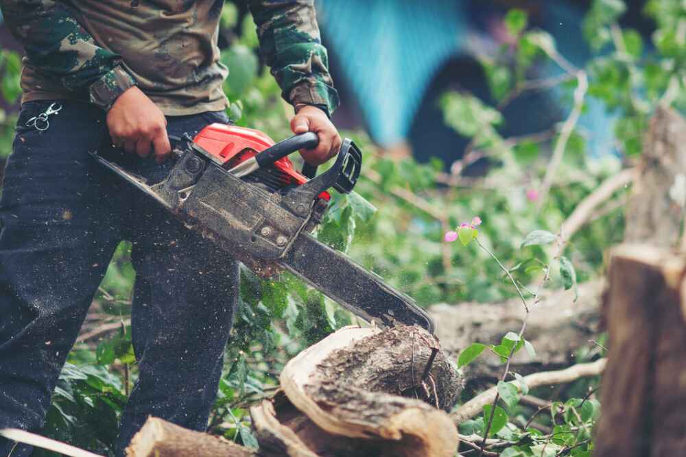 247 Emergency Tree Removal Services